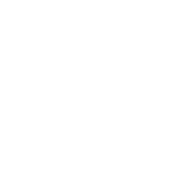 Lost Lake Digital